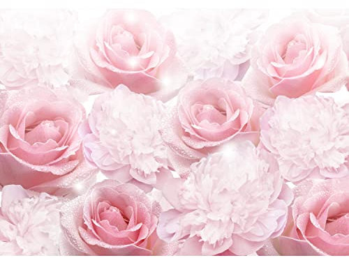 Runa Art Fototapete Blumen Rosen 352 x 250 cm Vlies Tapeten XXL Moderne Wandtapete Wohnzimmer Schlafzimmer Pink 9413011a