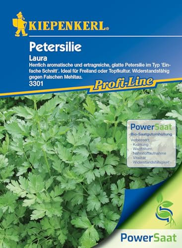 Kiepenkerl Profi-Line Petersiliensamen Laura, PowerSaat, Kräutersamen für den Garten, Pflegeleicht, Resistente Sorte, Vielseitig Verwendbar, Kräuter Samen für Garten, Beet, Balkon & Hochbeet