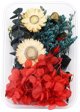 1 Box echte getrocknete Blumenharzfüllungen Expoxy- für Epoxidharz-Schmuckherstellung Handwerk DIY-Zubehör Zubehör (Vergissmeinnicht) Kunstblume (P, One Size)