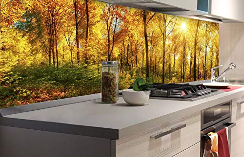 Dimex Küchenrückwand Folie selbstklebend SONNIGER Wald | Klebefolie - Dekofolie - Spritzschutz für Küche | Made in EU - 180 cm x 60 cm