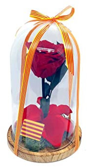 Mundo Eterno | Garden Center Shop | Rosa Preservada Roja Sant Jordi en Cúpula de Cristal 22x12 cm | Rosa Eterna Estilo Bella y Bestia | Regalo Romántico y Decorativo