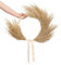 QIANYUN Boho Kranz, getrockneter Pampasgras Kranz, Einweihungsgeschenk (Beige, Casual Gathering)
