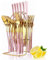 Gold Silbergeschirr Set, 24-Stücke Flatware Set mit Silbergeschirr Halter, Edelstahl Messer Gabeln Löffel Besteck Set Service für 6, Küchengeschirr Geschirr Set für Hochzeitsfeier (Roségold)