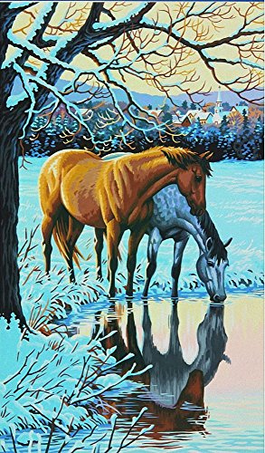 Paintworks 12 x 20-Inch Reflections Paint Kit
