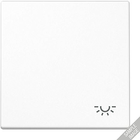 Jung Taster Lichtsymbol LS990 grau