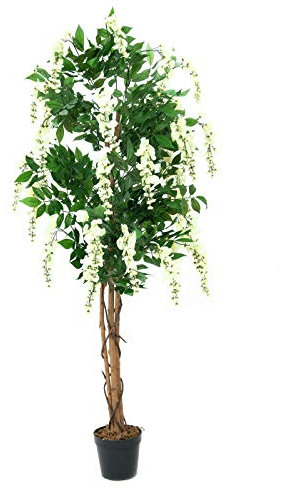 EUROPALMS Goldregenbaum, Kunstpflanze, weiß, 180cm