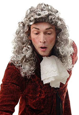 WIG ME UP - AD-002-P4T309 Perücke Herren Damen Fasching Karneval Braun Grau Silbergrau Vokuhila Mullet Proll lockig Barock Edelmann Judge Richter Lord