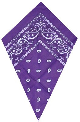 Inconnu Bandana Violett Paisley Halstuch (Purple Bandana), Violet, 70