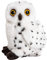 Uni-Toys - Schnee-Eule - 19 cm (Höhe) - Plüsch-Vogel - Plüschtier, Kuscheltier