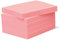 Haftnotizen BIZSTIX® Office -erdbeer- farbig, 5 Blöcke je 100 Blatt, 100 x 75 mm, rosa