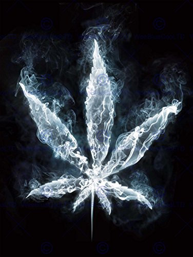 Bumblebeaver PAINTING ILLUSTRATION COOL WEED MARIJUANA SMOKE LEAF ART PRINT POSTER Farbe Kunstdruck