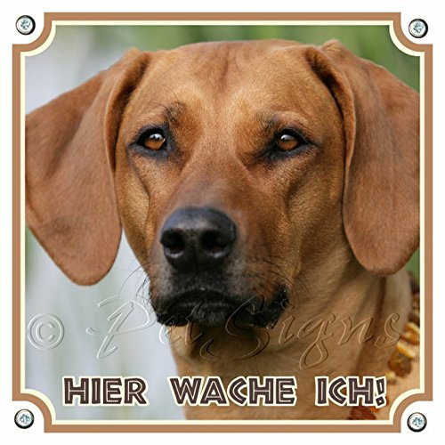 Petsigns Hundeschild vom Rhodesian Ridgeback - TOP Warnschild aus Alulminium, 15 x 15 cm