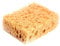 Collonil Schwamm Schuhcreme & Pflegeprodukte, Mehrfarbig (neutral), Unisize