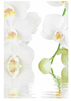 Fensterfolie Sichtschutz Fensterbild Wellness Orchidee Aufkleber 54 x 36cm