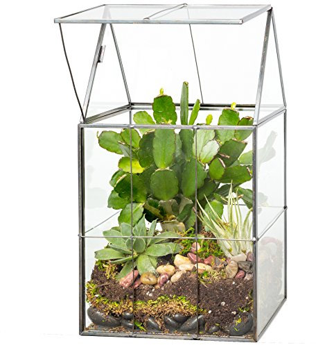Toit en verre à charnières pour terrarium, Succulente et Air de plantes Serre