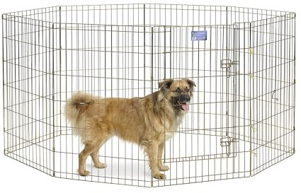 MidWest Homes for Pets Recinto pieghevole, in metallo con porta, 60,96 x 91,44 cm (La x A), zinco dorato, 544-36
