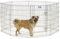 MidWest Homes for Pets Recinto pieghevole, in metallo con porta, 60,96 x 91,44 cm (La x A), zinco dorato, 544-36