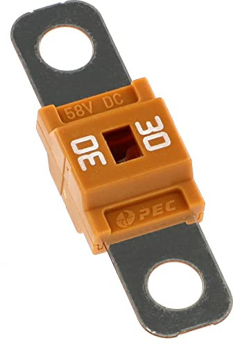 Restagraf - Fusible Midi - Protection Circuit Électrique de 30 A et 58 V - Pour l'Automobile et l'Industrie - Réf. 17130 - Sachet de 2, Orange