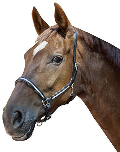 HKM Lederhalfter -Diamond, schwarz, Pony
