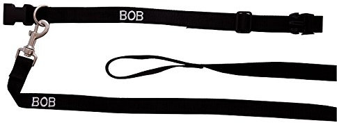 personalised dog lead (4 foot long, black)