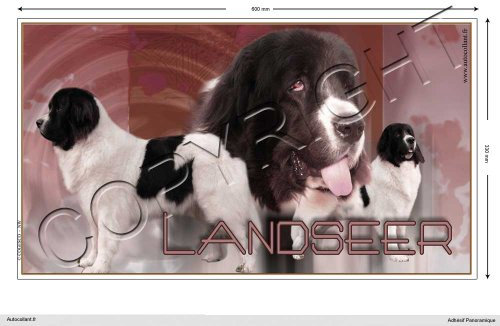 Pets-easy Rechteckige Aufkleber Hund 60cm Landseer