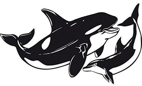 Apalis Wandtattoo No.TA115 Meerestiere WandSticker WandTattoo Orca Delfin Wal Ozean