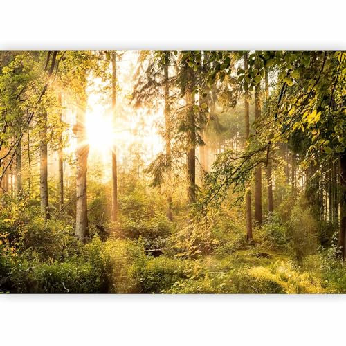 murando - Papier peint panoramique paysage 350x256 cm - Revêtement mural décoration salon - Design moderne - Jaune marron vert blanc - Des arbres forêt feuilles nature paysage soleil c-C-0032-a-c