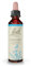 FLEURS DE BACH ORIGINAL - Chicory No 8 - Pour plus de générosité - Aide à donner sans rien attendre en retour - Élixir floral naturel pour le bien-être émotionnel - Compte-Gouttes 20ml - Vegan