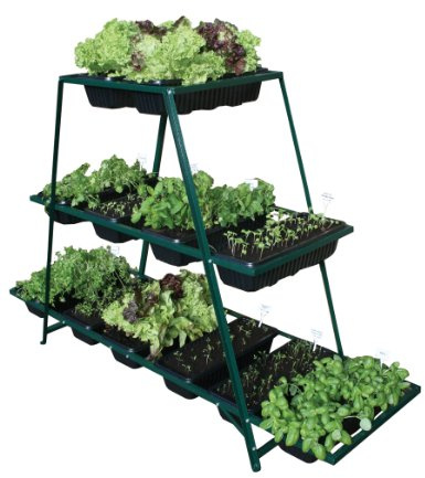 PatioGro Raised Bed Growing Frame Including 12 Trays. Ideal for Growing Vegetables, Salad Crops, Herbs, Flowers All in One Compact Space On Your Patio, Balcony Or Garden