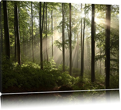 Pixxprint Sonnenstrahlen im Wald, Größe: 100x70cm, Leinwandbild, fertig gespannt, Wandbild, Dekoration, Kunstdruck, kein Poster