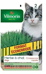Vilmorin - Paquete Semillas Hierbas Gato