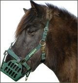 GREENGUARD Halfter Gr. 66 Warmblut