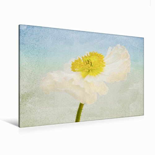 Premium Textil-Leinwand 120 x 80 cm Quer-Format Summerfeeling | Wandbild, HD-Bild auf Keilrahmen, Fertigbild auf hochwertigem Vlies, Leinwanddruck von Angela Dölling