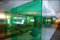 Active Film Transparent Colourful Window Film Self Adhesive- Optically Coloured Clear Green Tint 2m x 76cm (30)