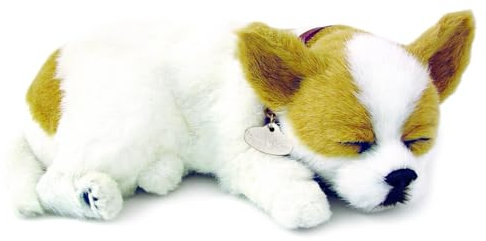 Plenty Gifts Perfect Petzzz - 4906 - Plüsch - Chihuahua