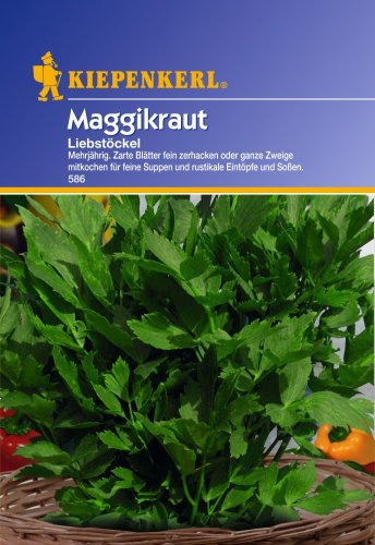 Sämereien Maggikraut Liebstöckel PG B