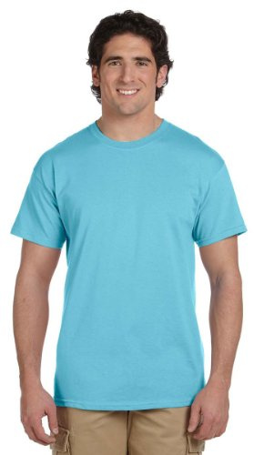 Gildan Men's G2000 Ultra Cotton Adult T-Shirt, Sky, Large