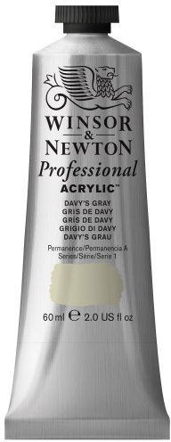 Winsor & Newton 2320217 60 ml Professional Acrylic Colour - Davys Grey