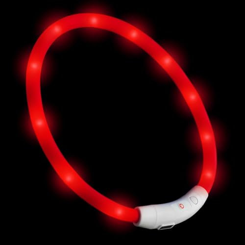 PRECORN LED USB-C Silikon Hundehalsband Halsband Hund Katzenhalsband Leuchthalsband für große kleine Hunde aufladbar