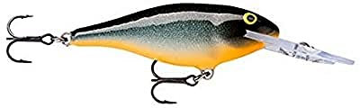 Rapala - Shad Rap Angelköder - Angelzubehör mit Balsa-Konstruktion - Süßwasser Spinnköder - Lauftiefe 2.4-4.5m - Fischköder 9cm, 15g - Hergestellt in Estland - Halloween
