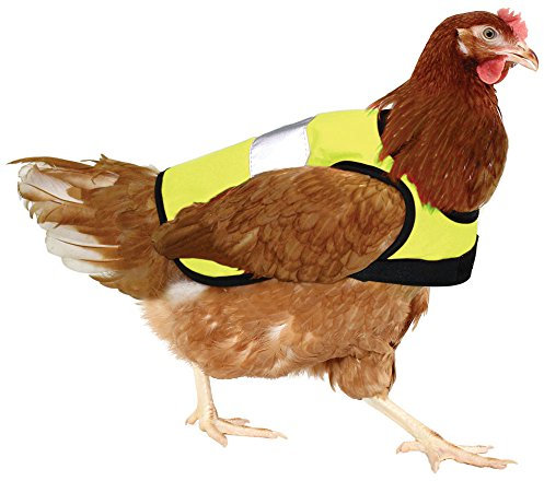 Omlet Warnweste für Hühner - Gelb