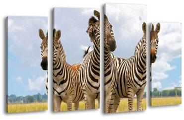 wandmotiv24 Leinwandbild Zebratrio LW28 Wandbild, Bild auf Leinwand, 4 Teile, 180x100cm, Kunstdruck Canvas, XXL Bilder, Keilrahmenbild, fertig aufgespannt, Bild, Holzrahmen, Steppe, Zebra, Afrika,