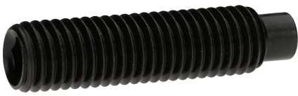 Reidl Gewindestifte mit Innensechskant und Zapfen 8 x 12 mm DIN 915 45 H blank 10 Stück