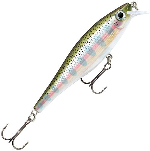Rapala BX Minnow 10 Angelköder