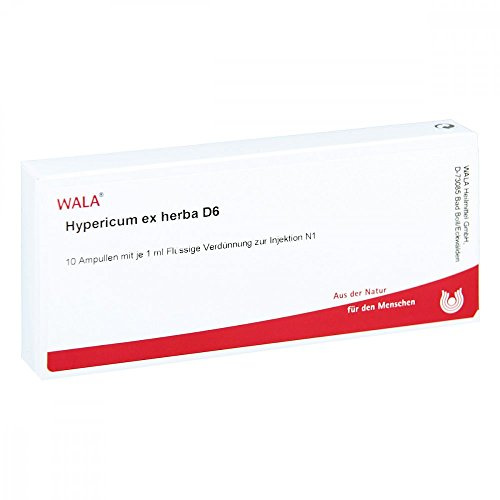 HYPERICUM EX Herba D 6 Ampullen 10X1 ml