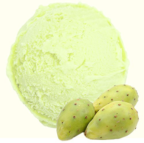 Kaktus Geschmack 1 Kg Gino Gelati Eispulver für Fruchteis Softeispulver Speiseeispulver