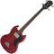 Epiphone EBG0CHCH1