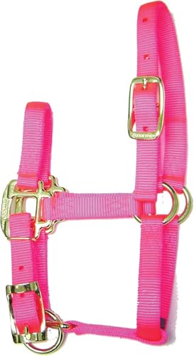 Hamilton Quality Horse Halter, 3/4 Triple Ply Nylon, Adjustable Chin Strap, Pony or Mini Donkey, 100-200 lbs, Hot Pink