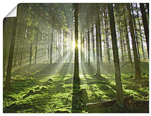 ARTLAND Wanddeko Poster & Kunstdrucke Wandposter 80x60 cm Wald Natur Sonne Sommer Landschaft Landhaus Modern T5SV