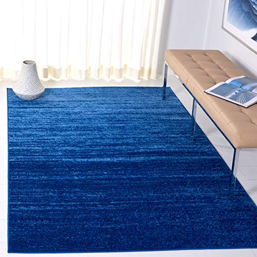 SAFAVIEH Adirondack Area Rug 4x6, Light Blue & Dark Blue ADR113F